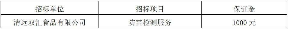 清远南宫28·(中国)防雷检测服务.jpg