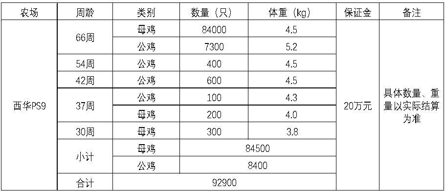 西华南宫28·(中国).jpg